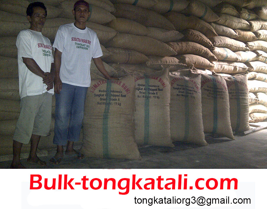 Tongkat Ali Roots